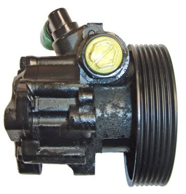 Servopumpe, Hydraulikpumpe , Citroën/Peugeot, 7692955117, 4007 W4