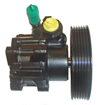 Servopumpe, Hydraulikpumpe , Citroën/Peugeot, 7691955196, 40079E