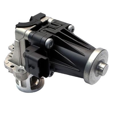 Austausch AGR Ventil, Ford B-MAX (JK) 1.6 TDCI, 1702178