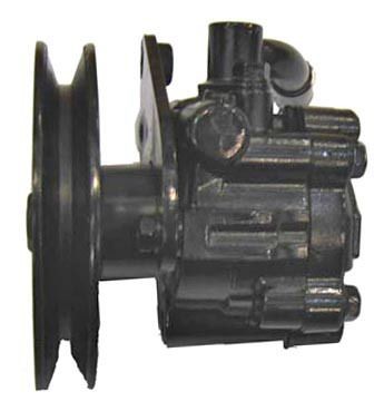 Servopumpe, Hydraulikpumpe , Nissan, 491109C600