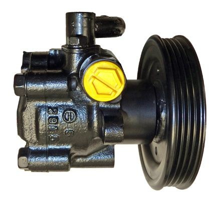 Servopumpe, Hydraulikpumpe , Nissan, 49110-79E00