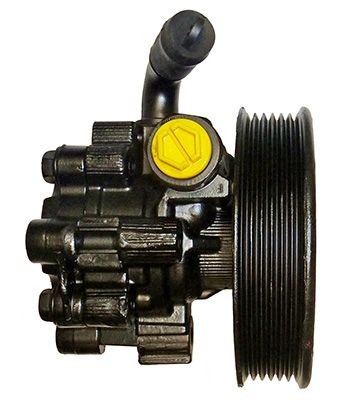Servopumpe, Hydraulikpumpe für Opel Antra, 4819561, 95476164